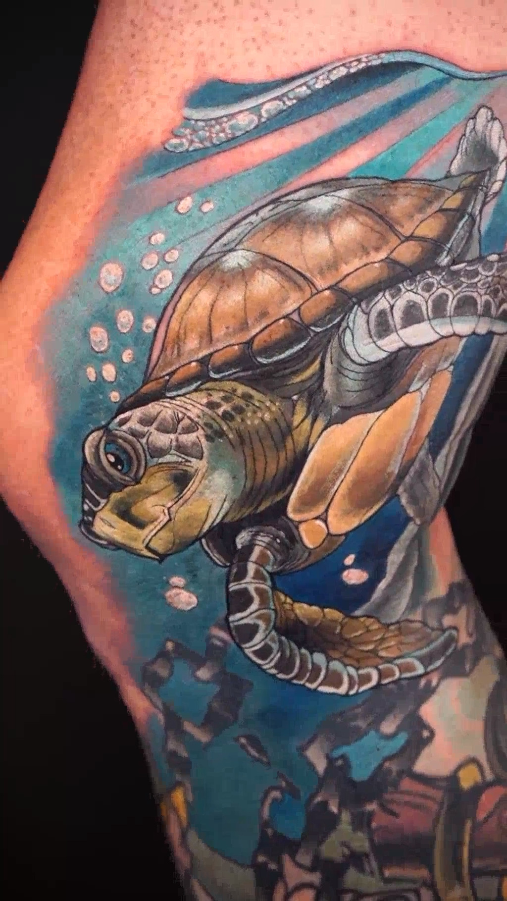 grant_turtle